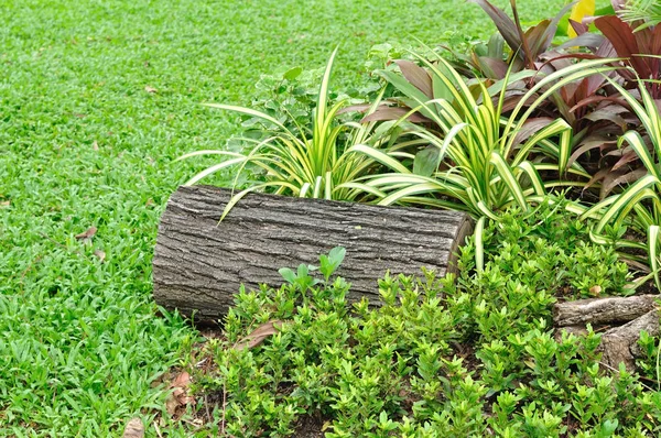 Bank van kleine log in tuin. — Stockfoto