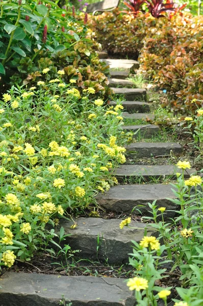 Escalier rocheux dans le jardin de fleurs — Photo