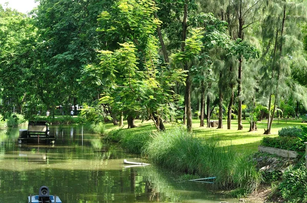 Marsh next to many trees in park — Stock Photo, Image
