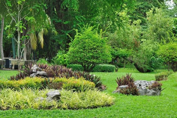 Verschiedene Blumen und Pflanzen für schöne Gartenarbeit — Stockfoto