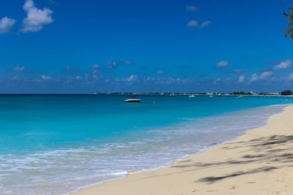Turquoise caribbean coast — Stock Photo, Image