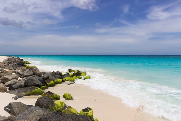 Costa caribeña en Aruba —  Fotos de Stock