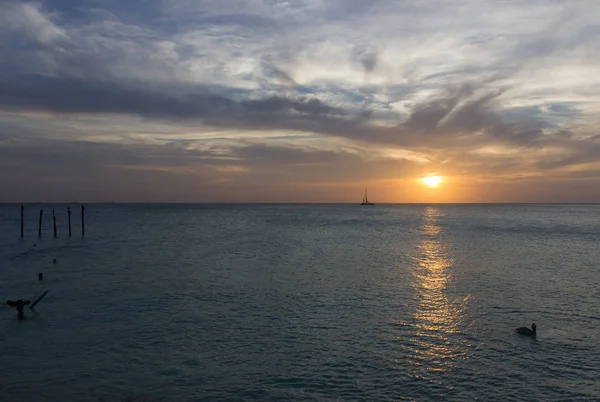 Akşam Eagle beach Aruba — Stok fotoğraf