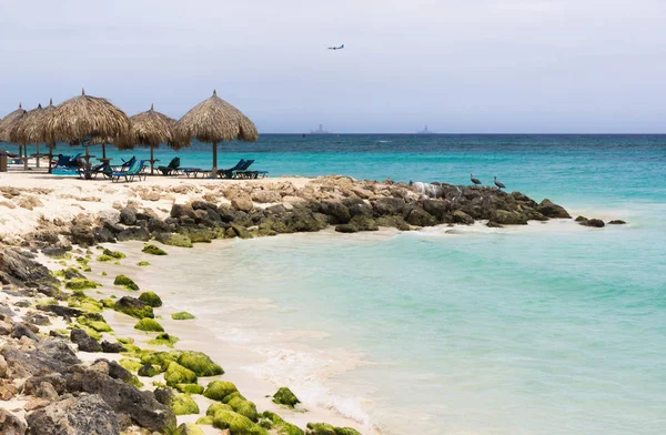 Spiaggia di Aruba — Foto Stock