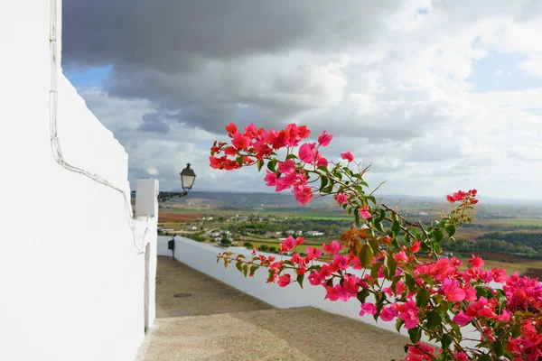 Red flowers in Arcos de la Frontera, white town of Cadiz. Andalu — Stock Photo, Image