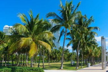 Miami sahilindeki South Pointe Parkı, FI, Usa