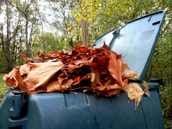 Kompostbehälter Voller Herbstblätter Als Laubmulch — Stockfoto