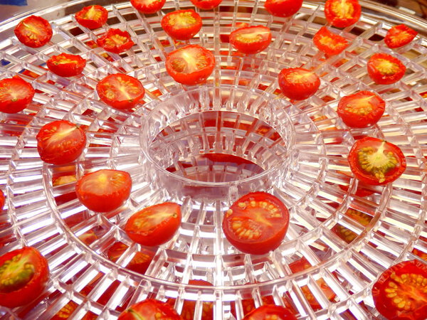 Dried Sliced Tomatoes