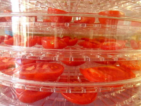 Layers Sliced Tomatoes Drying Electric Dehydrator — Stock Photo, Image