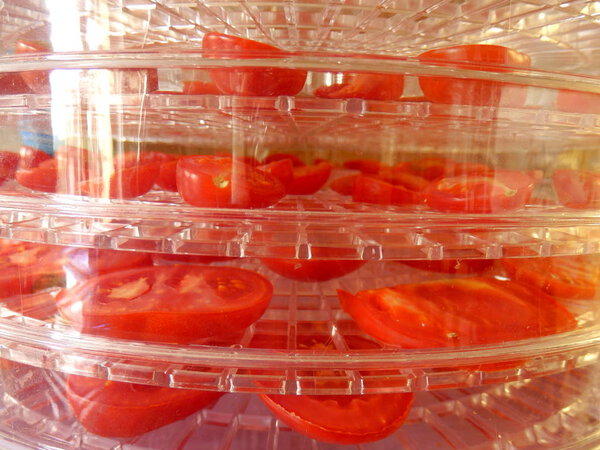 Layers of sliced tomatoes drying in an electric dehydrator