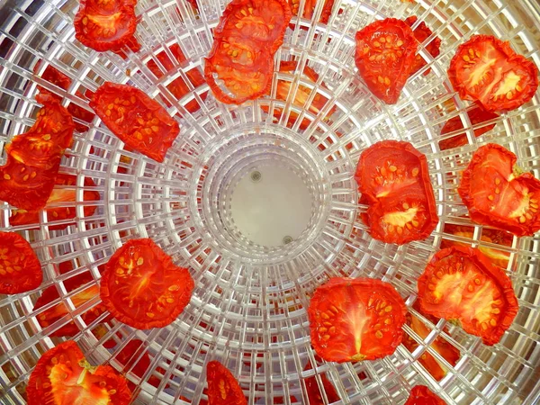 Нарізані помідори сушені Стокове Фото