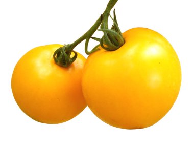 Çift sarı domates