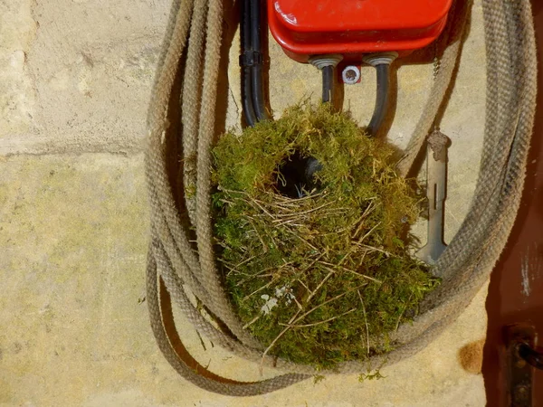 Close Van Een Lege Wren Nest Gebouwd Opgerold Touw Een — Stockfoto