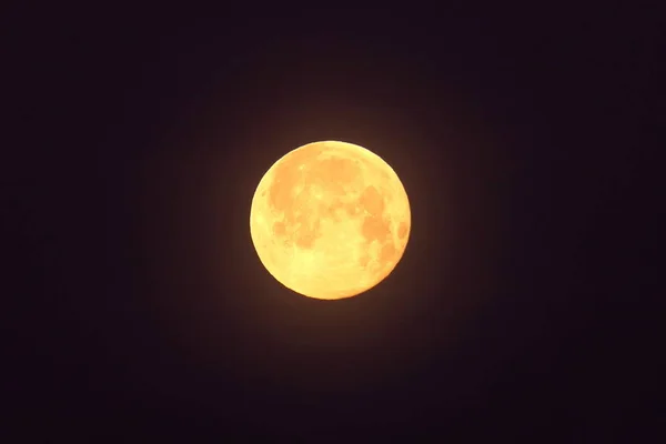 Stycznia 2020 Full Wolf Moon Widziany Niebie Dordogne Francja — Zdjęcie stockowe
