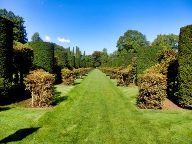 Fransa 'nın Dordogne kentindeki Eyrignac Malikânesi' nde Box ve Hornbeam bulvarı.