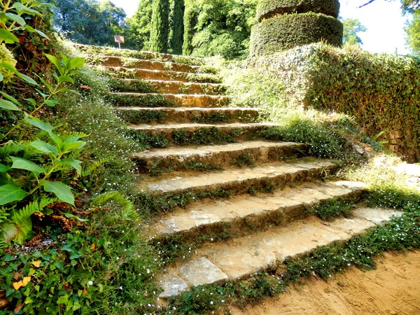 Tramo Antiguos Escalones Piedra Encontrados Eyrignac Manor Garden Dordogne Francia — Foto de Stock