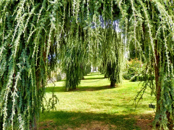 法国多顿Eyrignac Manor花园小木屋花园中的一系列塞德勒斯德奥达拉 彭杜拉拱门 — 图库照片