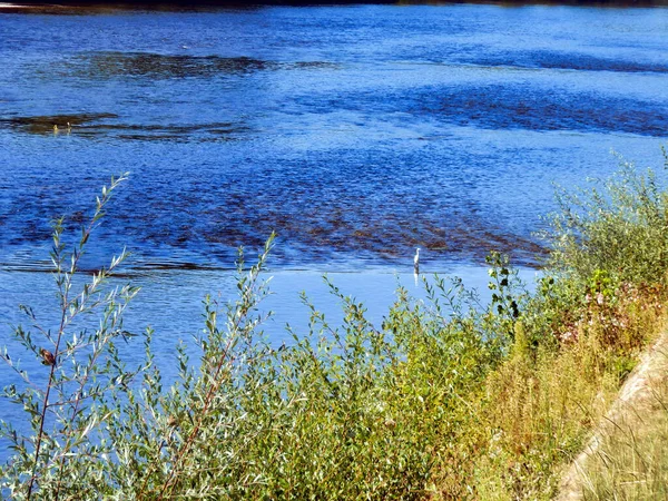 White Egret Pairando Água Rasa Rio Dordogne França — Fotografia de Stock