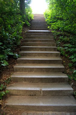 Merdivenlerden çıkıyor.