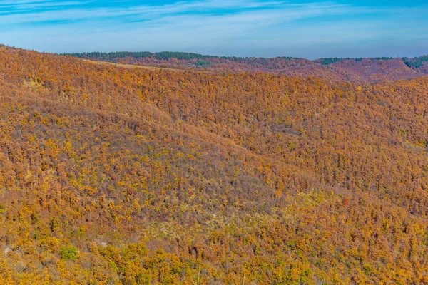 Floresta de outono na montanha Karandila na Bulgária — Fotografia de Stock