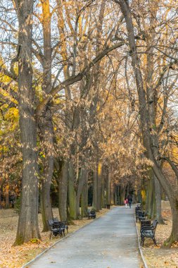 Bulgaristan 'ın Sofya kentindeki Vrana sarayını çevreleyen park