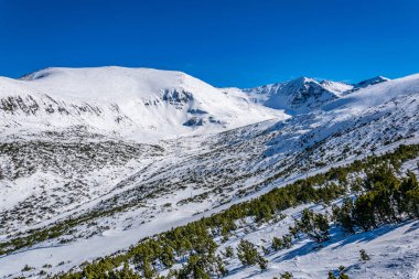 Musala dağı, Bulgaristan 'ın en yüksek zirvesi ve çevresi