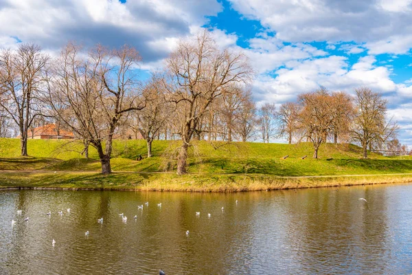 ノルウェーの町フレドリクスタ周辺の公園 — ストック写真