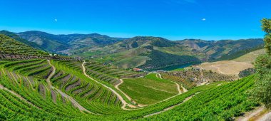 Portekiz 'de Douro Vadisi yamaçlarındaki üzüm bağları ve köyler