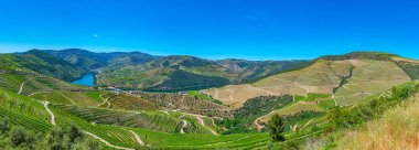 Portekiz 'de Douro Vadisi yamaçlarındaki üzüm bağları ve köyler