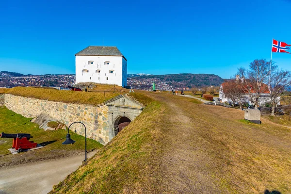 노르웨이 도시 트론헤임이 내려다 보이는 크리스티앙 스텐 요새 — 스톡 사진