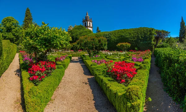 Сади і маєтки Casa de Mateus в Португалії. — стокове фото