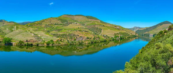 Vineyards alongside river douro in Portugal — Stock Photo, Image