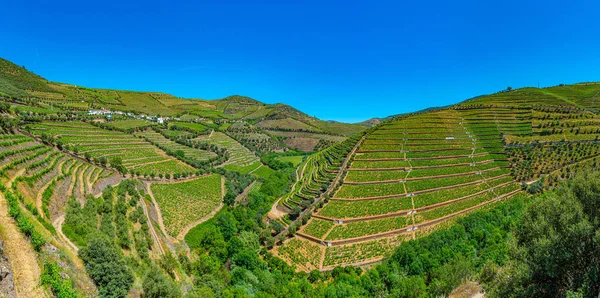 Szőlőültetvények és falvak a Douro-völgy lejtőin Portugáliában — Stock Fotó