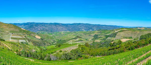 Vineyards and villages at slopes of Douro Valley in Portugal — Stock Photo, Image