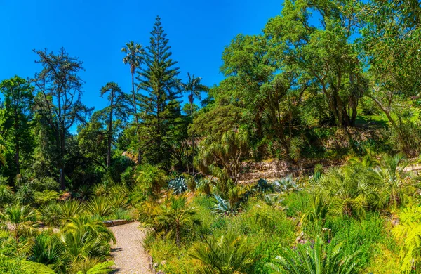 Jardines en el recinto del Palacio de Monserrate en Sintra, Portugal — Foto de Stock