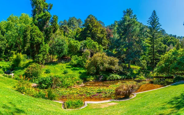 Gardens at the grounds of Palace of Monserrate at Sintra, Portugal — Stock Photo, Image