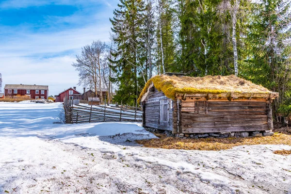 Examples of rural architecture in the Jamtli open-air museum in — Stock Photo, Image