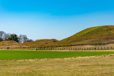 İsveç 'teki Gamla Uppsala' da defin tepecikleri