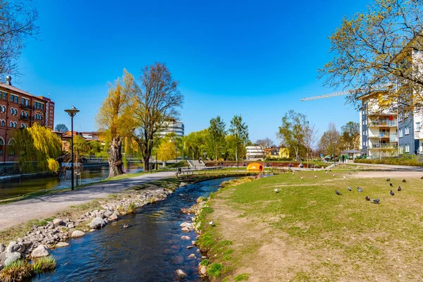 Canal que permite a los peces evadir los rápidos del río en Norrkoping, Swe —  Fotos de Stock