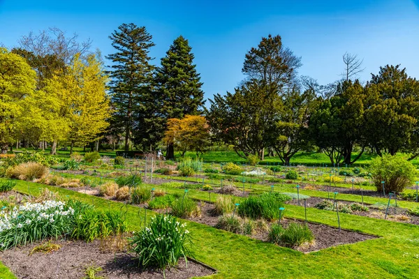 Botanischer garten in schwedischer stadt lund — Stockfoto