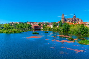 Salamanca katedrali Tormes nehrine yansıdı, İspanya