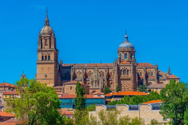 Catedral de Salamanca reflejada en el río Tormes, España —  Fotos de Stock