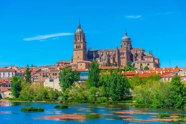 Catedral de Salamanca reflejada en el río Tormes, España — Foto de Stock