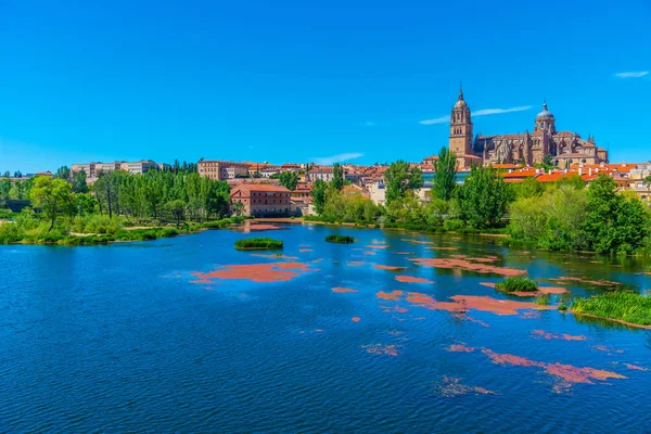 Salamanca katedrali Tormes nehrine yansıdı, İspanya — Stok fotoğraf