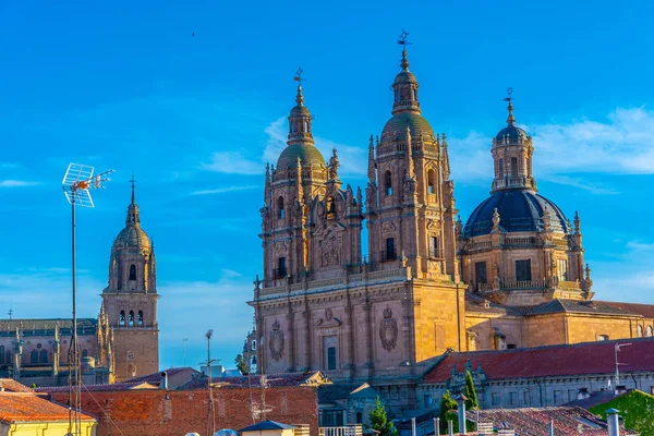 Catedral de Salamanca, España —  Fotos de Stock