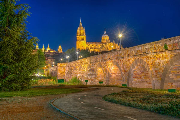 Salamanca Katedrali 'ne giden Roma köprüsünün gün batımı manzarası, 