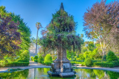 Coimbra Üniversitesi Botanik Bahçesi 'nde yeşil yaprak.