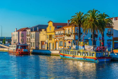 Moliceiro gemileri Aveiro 'nun merkez kanalı boyunca demirliyor.,