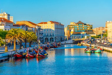 Moliceiro gemileri Aveiro 'nun merkez kanalı boyunca demirliyor.,