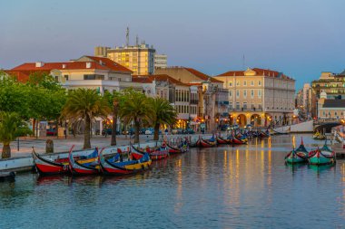 Moliceiro gemileri Aveiro 'nun merkez kanalı boyunca demirliyor.,